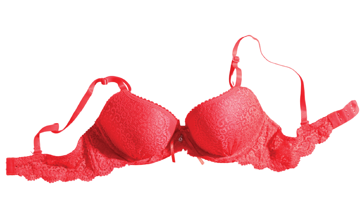 Haya Noura Push Up Bra Complete Guide Bangladesh – Learn how to choose the right push up bra, bra size guide, push up bra benefits, bra fitting tips, comfortable women's lingerie, premium innerwear and everyday bra support by Haya Noura.